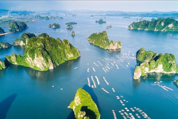 <p style="text-align: center;"><span style="font-size: 14pt;"><strong>Biển Đảo</strong></span></p>